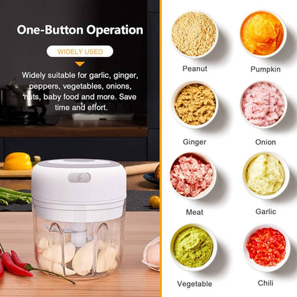 Mini Electric Food Chopper